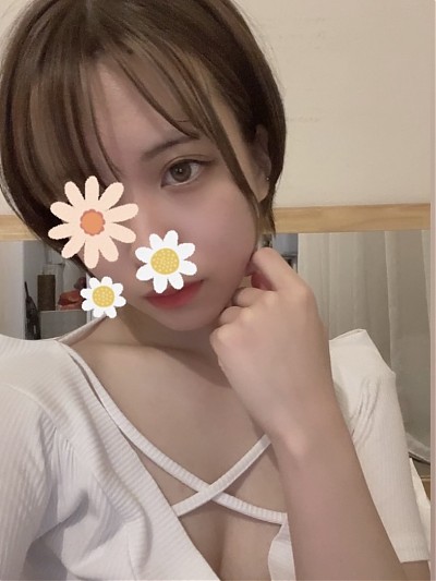 桜(スタンダード)写真5